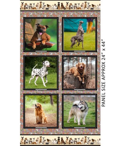 Canine Companions-panel B