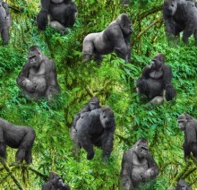Gorilla-Jungle-Allover-2